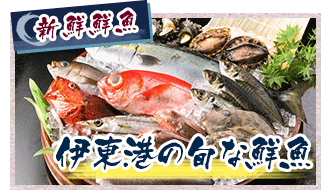新鮮鮮魚 伊東港の旬な鮮魚